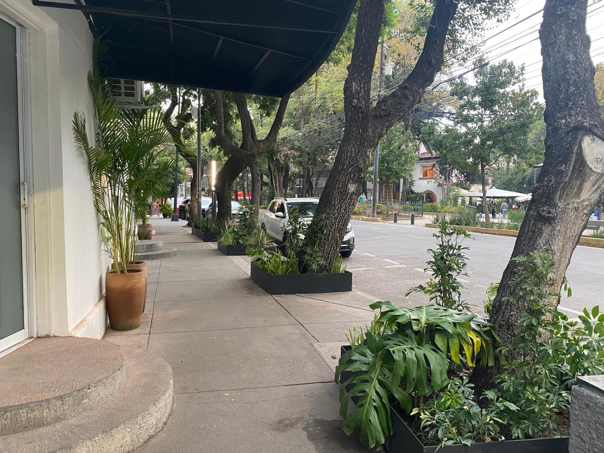 Casa Corp Boutique Suites In Condesa México DF Exterior foto